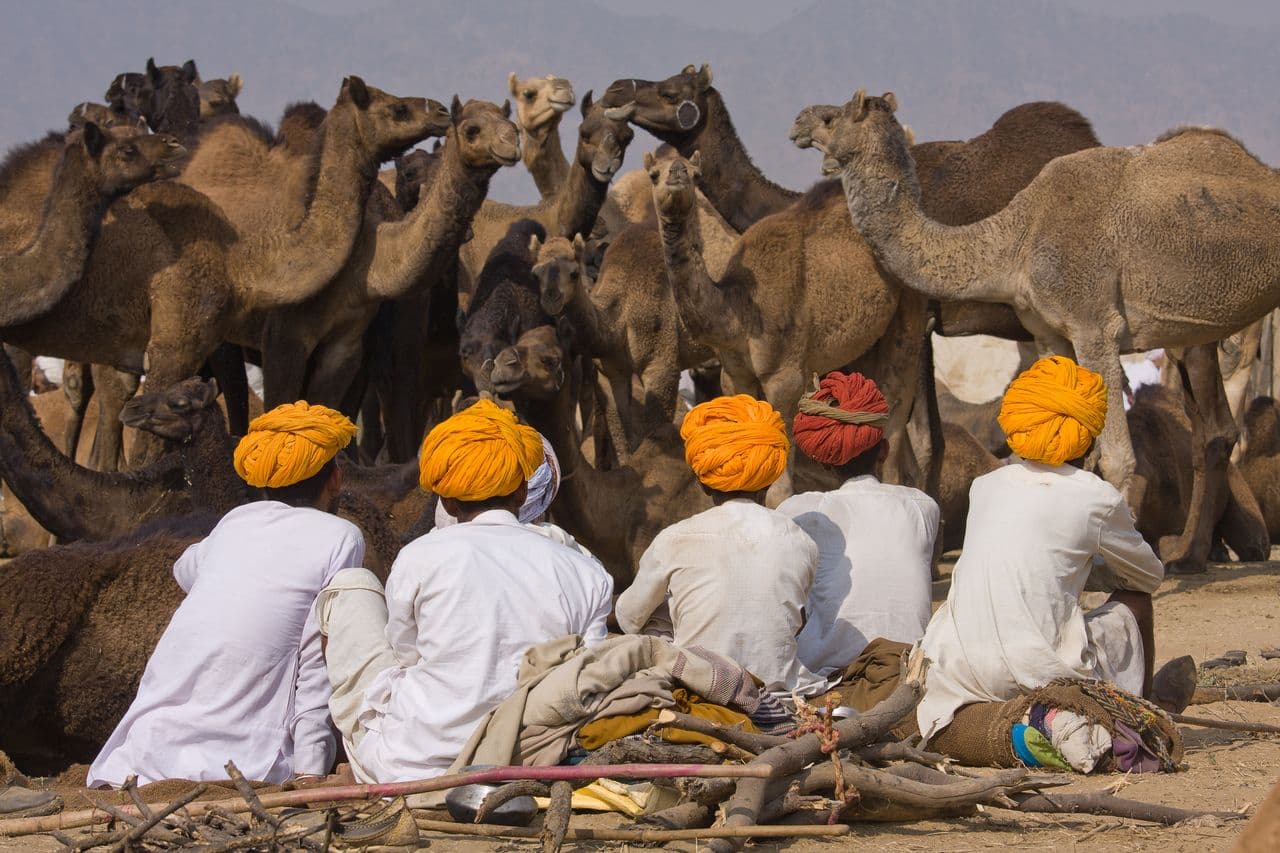 Pushkar Camel Fair
